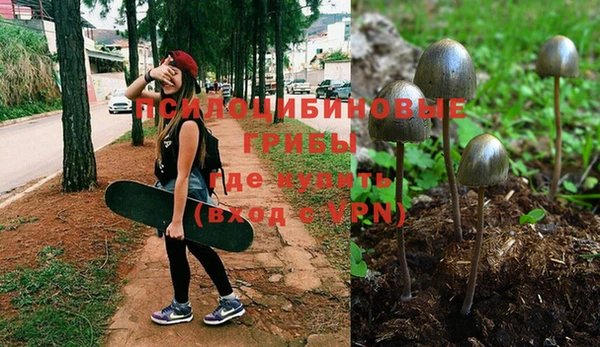 спиды Алзамай