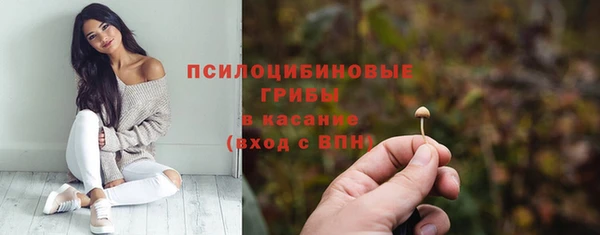 дживик Алексеевка