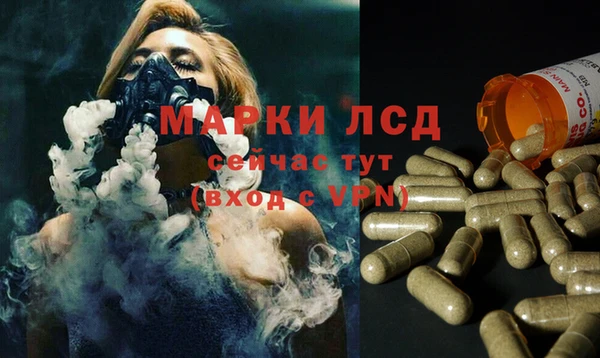 спиды Алзамай