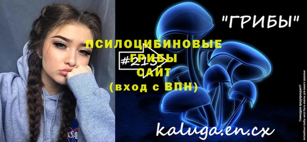 наркотики Алексин