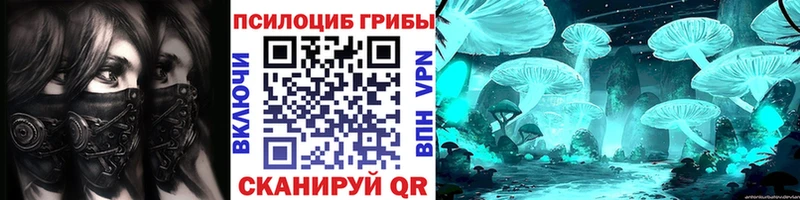 Галлюциногенные грибы Psilocybe  MEGA вход  Бердск  купить  
